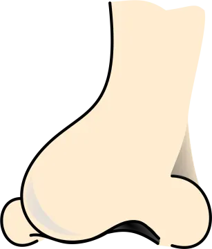 a pair of feet clipart