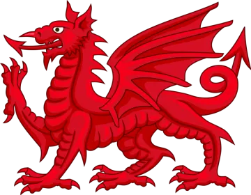 a red dragon