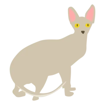 a cat with yellow eyes