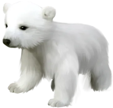 a drawing of a polar bear