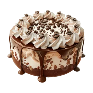 a cake with chocolate and whipped cream on top