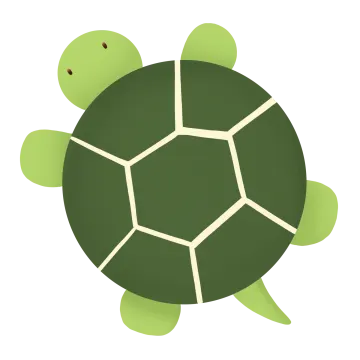 a green turtle with a white background