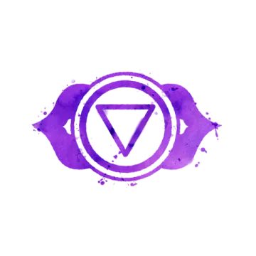 a purple watercolor logo with the letter v on it