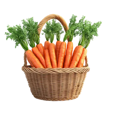 bunch of carrots in basket