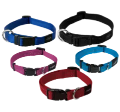 a set of four collars with different colors