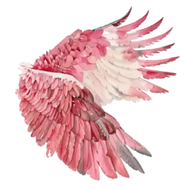 a pink and white bird with wings spread out