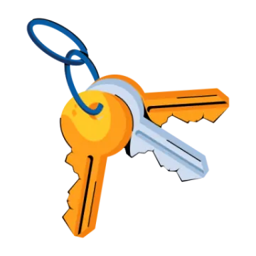 a bunch of keys on a white background