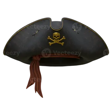 a pirate hat with a skull on it