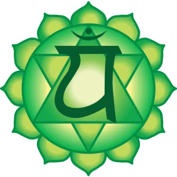 a lotus with the letter j on it