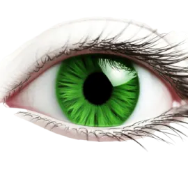 a close up view of a green eye