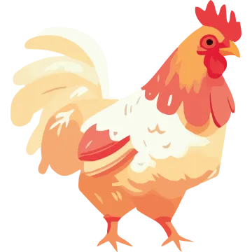 a red and white rooster standing on the ground