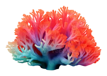 a red and blue sea anemone