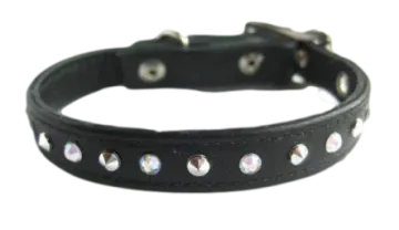 a black leather dog collar with silver studs
