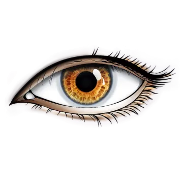 a close up view of an eye
