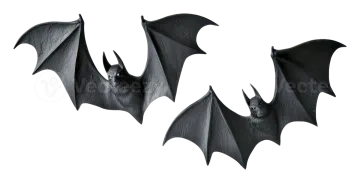 three bats on a white background