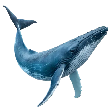 a blue whale is jumping in the air