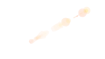 a white background with circles and lines