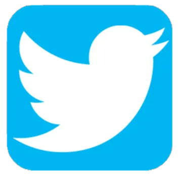 the twitter logo