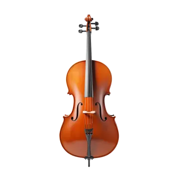 a violin on a white background
