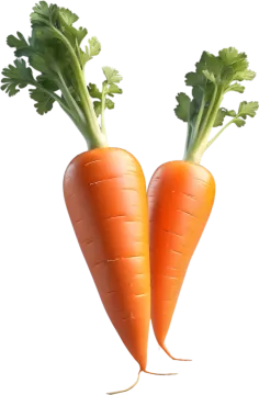 a pair of carrots