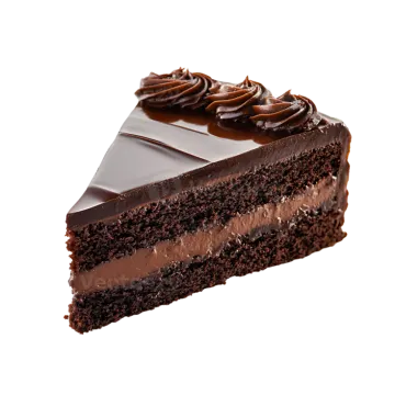 a piece of chocolate cake