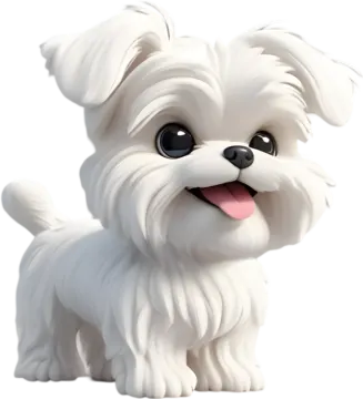 a cute little white dog with big eyes
