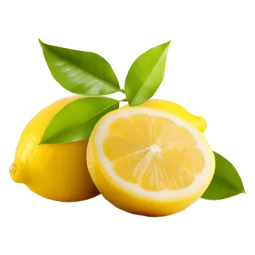 two lemons with leaves on a white background