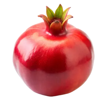 a red pome on a white background