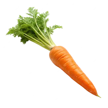 a bunch of carrots on a white background