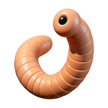 an image of a worm on a white background