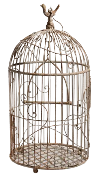 a bird in a cage on a white background