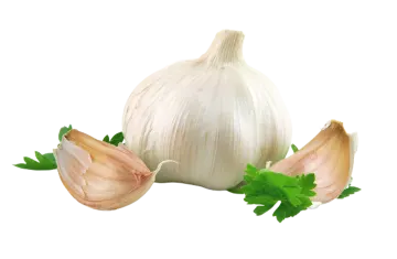 a bunch of garlic on a white background