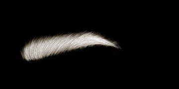 a white feather on a black background
