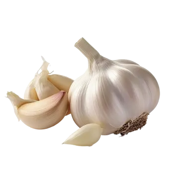 an onion and garlic on a white background