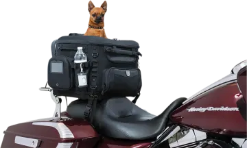 a dog sitting on the back of a motorcycle
