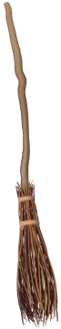 an illustration of a broom with a long handle