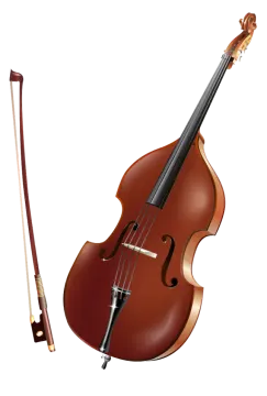 a violin and a bow