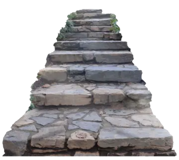 a stone step with plants growing on it