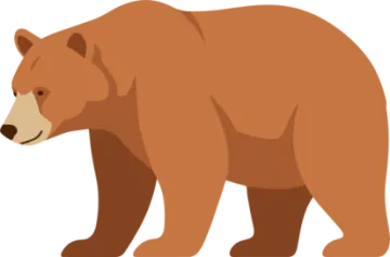 a brown bear on a white background