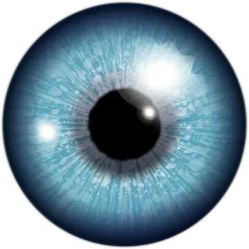 an image of a blue eye