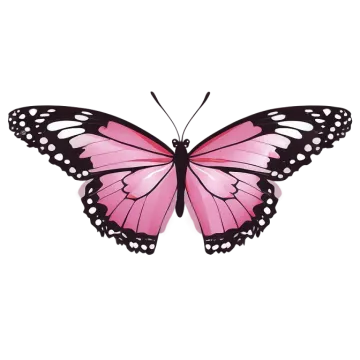 a pink butterfly on a white background