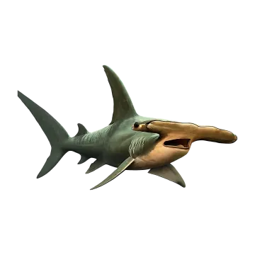 a shark with its mouth open in the air