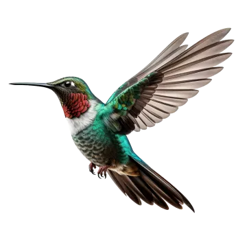 a bird with its wings spread out in the air