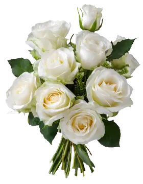a bouquet of white roses