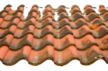 a roof that has been damaged