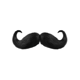 a black mustache on a white background