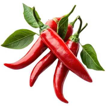red chili peppers with leaves on white background