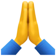 a pair of hands folded in prayer