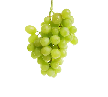 a bunch of green grapes on a white background