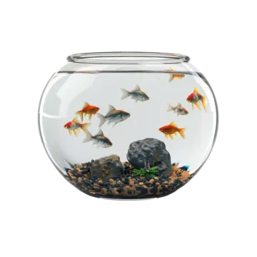 a fish bowl filled with water and rocks